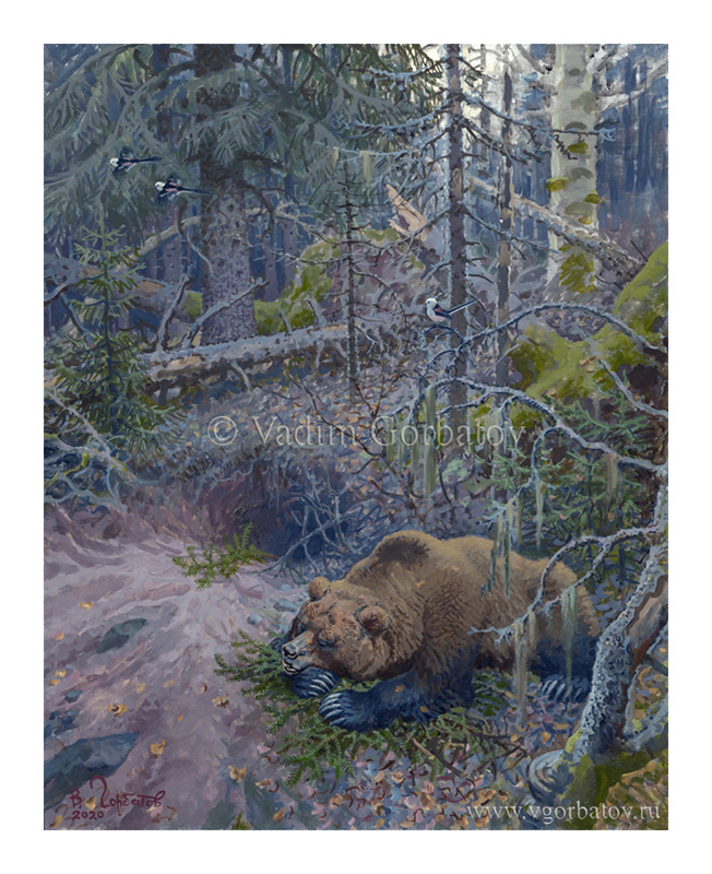 Bear at the den Медведь у берлоги