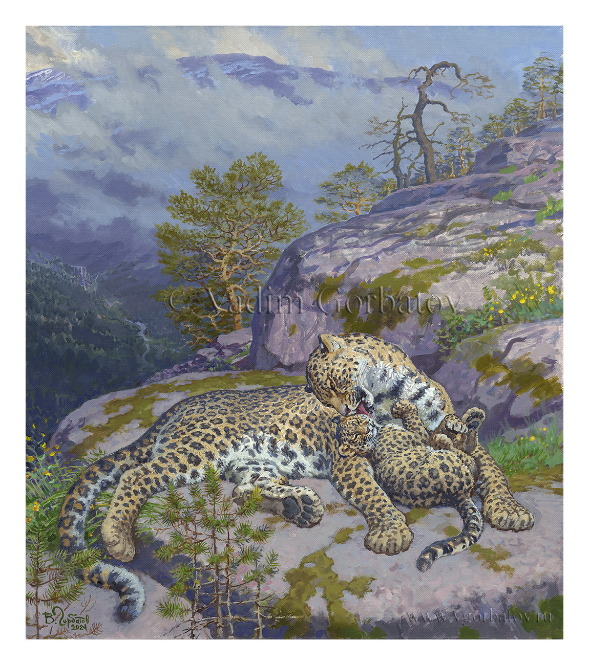 Переднеазиатский леопард. Caucasian leopard